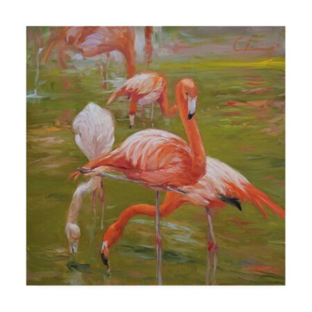 Chuck Larivey 'Flamingo I' Canvas Art,18x18